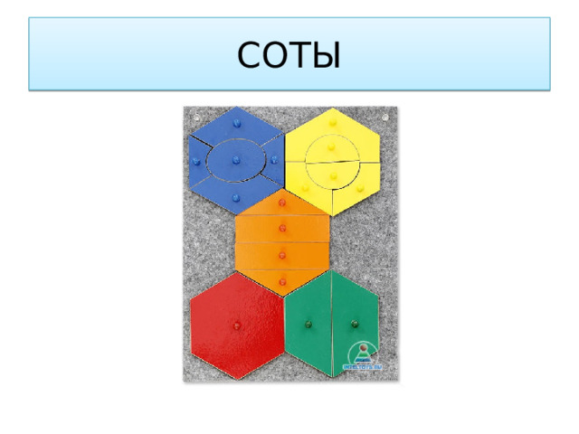 СОТЫ 