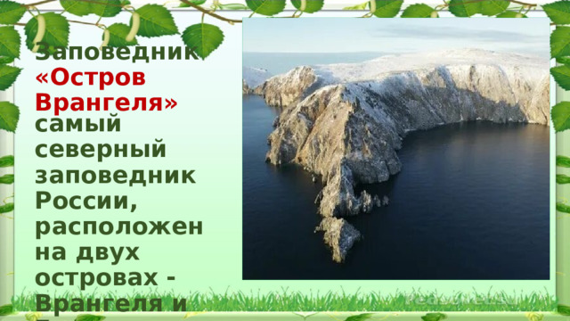 Заповедник  «Остров Врангеля» самый северный заповедник России, расположен на двух островах - Врангеля и Геральд. 