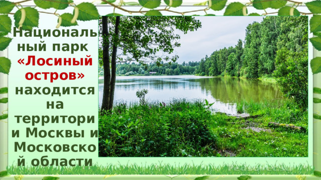 Национальный парк  «Лосиный остров» находится на территории Москвы и Московской области 