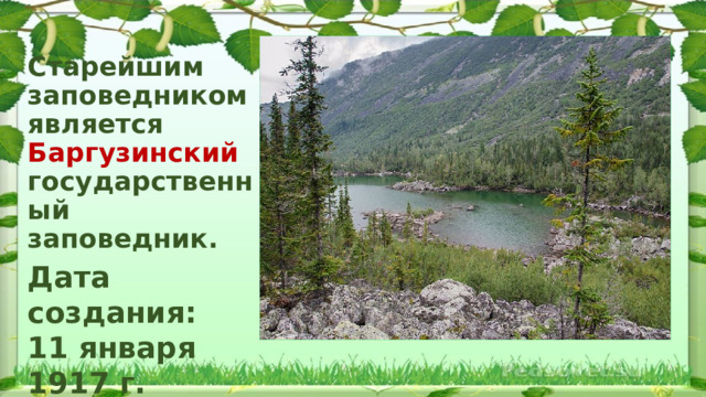 Старейшим заповедником является Баргузинский государственный заповедник.   Дата создания: 11 января 1917 г. 