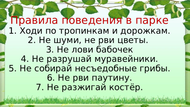      Правила поведения в парке  1. Ходи по тропинкам и дорожкам.  2. Не шуми, не рви цветы.  3. Не лови бабочек  4. Не разрушай муравейники.  5. Не собирай несъедобные грибы.  6. Не рви паутину.  7. Не разжигай костёр.   