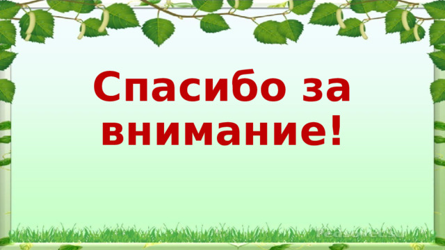  Спасибо за внимание! 