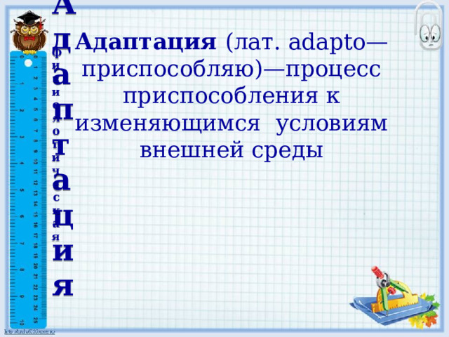 Адаптация (лат. adapto—приспособляю)—процесс приспособления к изменяющимся условиям внешней среды Адаптация физиологическая 