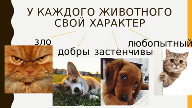 У каждого животного свой характер злой любопытный добрый застенчивый 