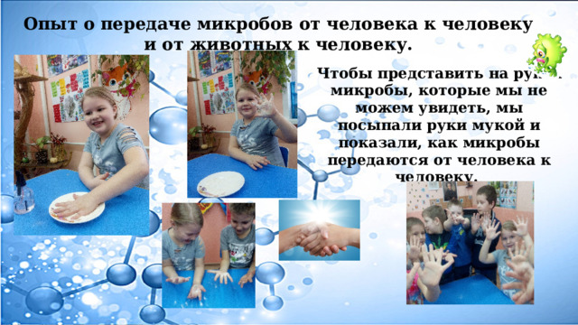 Опыт о передаче микробов от человека к человеку и от животных к человеку. Чтобы представить на руках микробы, которые мы не можем увидеть, мы посыпали руки мукой и показали, как микробы передаются от человека к человеку. 