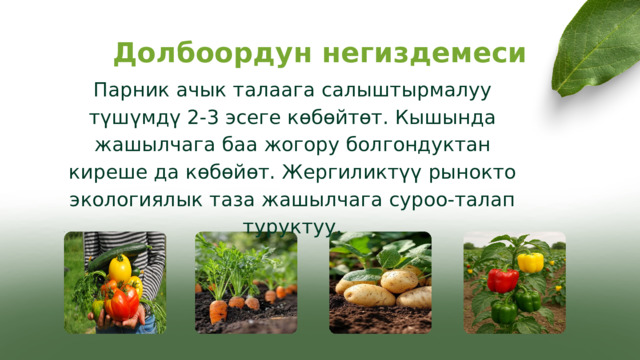 Долбоордун негиздемеси Парник ачык талаага салыштырмалуу түшүмдү 2-3 эсеге көбөйтөт. Кышында жашылчага баа жогору болгондуктан киреше да көбөйөт. Жергиликтүү рынокто экологиялык таза жашылчага суроо-талап туруктуу. 