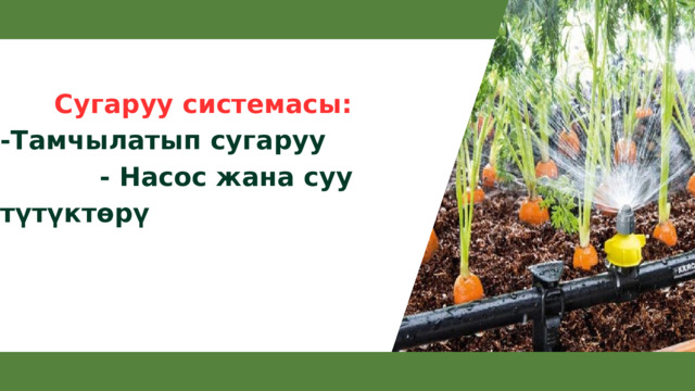  Сугаруу системасы: -Тамчылатып сугаруу - Насос жана суу түтүктөрү  