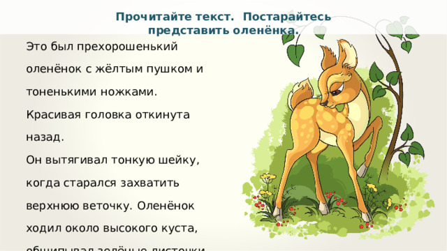 Прочитайте текст. Постарайтесь представить оленёнка. Это был прехорошенький оленёнок с жёлтым пушком и тоненькими ножками. Красивая головка откинута назад. Он вытягивал тонкую шейку, когда старался захватить верхнюю веточку.  Оленёнок ходил около высокого куста, общипывал зелёные листочки и прислушивался к малейшему  шороху. По Д. Мамину-Сибиряку 