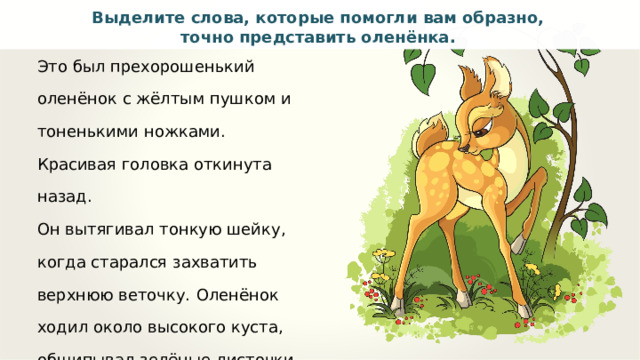 Выделите слова, которые помогли вам образно, точно представить оленёнка. Это был прехорошенький оленёнок с жёлтым пушком и тоненькими ножками. Красивая головка откинута назад. Он вытягивал тонкую шейку, когда старался захватить верхнюю веточку.  Оленёнок ходил около высокого куста, общипывал зелёные листочки и прислушивался к малейшему  шороху. По Д. Мамину-Сибиряку 