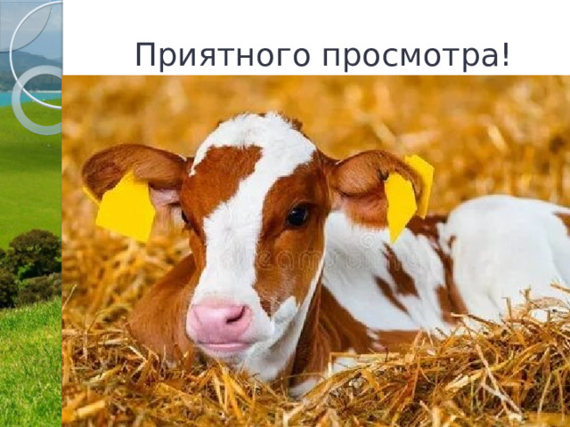Приятного просмотра! 