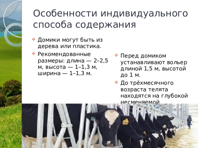 Особенности индивидуального способа содержания Домики могут быть из дерева или пластика. Рекомендованные размеры: длина — 2–2,5 м, высота — 1–1,3 м, ширина — 1–1,3 м. Перед домиком устанавливают вольер длиной 1,5 м, высотой до 1 м. До трёхмесячного возраста телята находятся на глубокой несменяемой подстилке из соломы или опилок. 