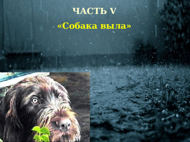 ЧАСТЬ V «Собака выла» 
