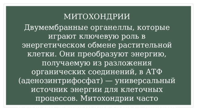 МИТОХОНДРИИ Двумембранные органеллы, которые играют ключевую роль в энергетическом обмене растительной клетки. Они преобразуют энергию, получаемую из разложения органических соединений, в АТФ (аденозинтрифосфат) — универсальный источник энергии для клеточных процессов. Митохондрии часто называют «энергетическими станциями клетки» 