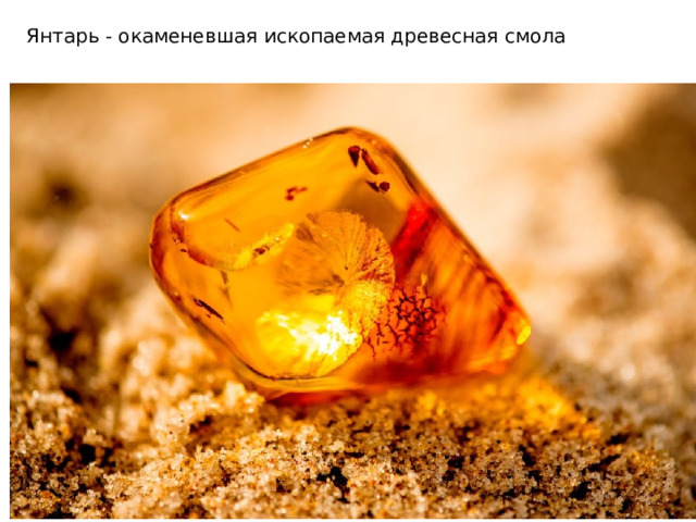 Янтарь - окаменевшая ископаемая древесная смола  
