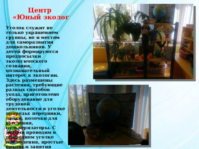 Центр  «Юный эколог Уголок служит не только украшением группы, но и местом для саморазвития дошкольников. У детей формируются предпосылки экологического сознания, познавательный интерес к экологии. Здесь размешены растения, требующие разных способов ухода, приготовлено оборудование для трудовой деятельности в уголке природы: передники, лейки, полочки для рыхления, пульверизаторы. С детьми проводим в природном уголке наблюдения, простые опыты и занятия природоведческого характера. 