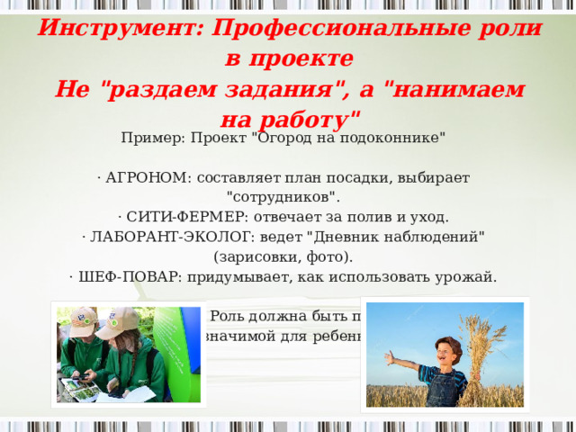 Инструмент: Профессиональные роли в проекте Не 