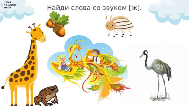 Найди слова со звуком [ж]. 