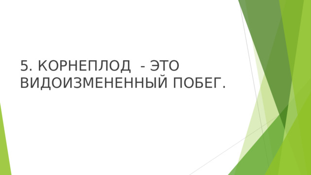 5. КОРНЕПЛОД - ЭТО ВИДОИЗМЕНЕННЫЙ ПОБЕГ. 