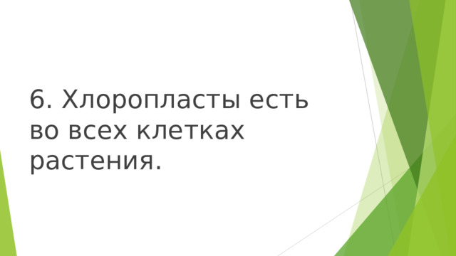 6. Хлоропласты есть во всех клетках растения. 
