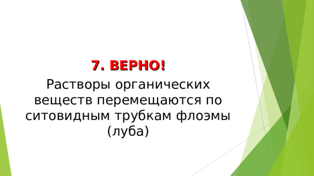7. ВЕРНО! Растворы органических веществ перемещаются по ситовидным трубкам флоэмы (луба) 