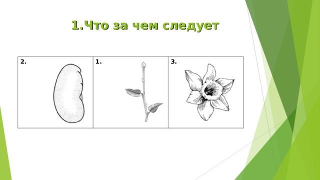 1.Что за чем следует 2. 1.  3. 