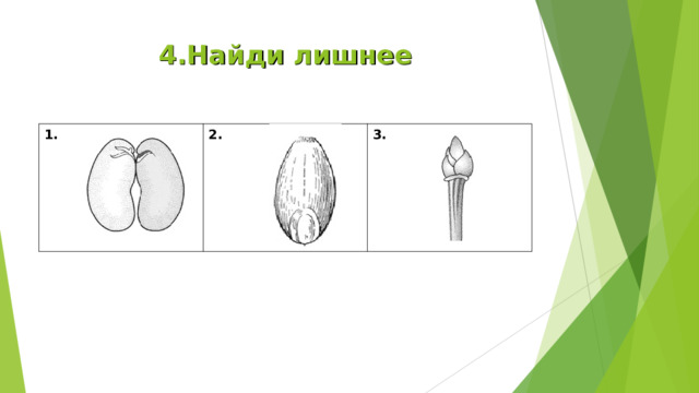 4.Найди лишнее 1. 2. 3. 