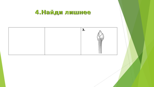 4.Найди лишнее 3. 