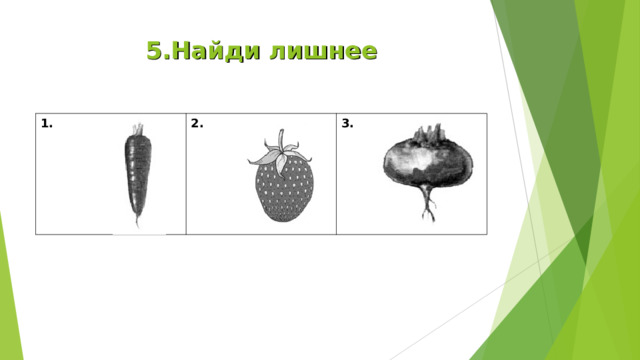 5.Найди лишнее 1. 2. 3. 