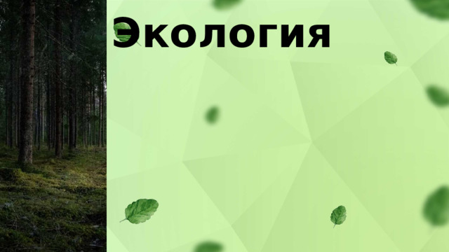Экология 