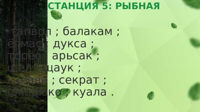 СТАНЦИЯ 5: РЫБНАЯ   тапвол ; балакам ;  ёгмас ; дукса ;  торёс ; арьсак ;  щел ; щаук ;  ганава ; секрат ;  шкарюко ; куала . 