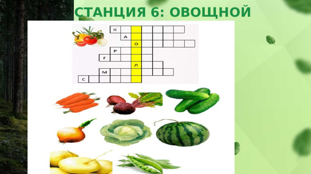 СТАНЦИЯ 6: ОВОЩНОЙ КРОССВОРД   