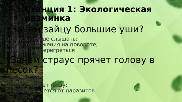 Станция 1: Экологическая разминка Зачем зайцу большие уши? а) чтобы лучше слышать;  б) для торможения на повороте;  в) чтобы не перегреться *Зачем страус прячет голову в песок? а) от страха;  б) разыскивает пищу;  в) освобождается от паразитов  