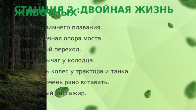 СТАНЦИЯ 2 :ДВОЙНАЯ ЖИЗНЬ ЖИВОТНЫХ     Любитель зимнего плавания. Промежуточная опора моста. Пешеходный переход. Длинный рычаг у колодца. Заменитель колес у трактора и танка. Любитель очень рано вставать. Безбилетный пассажир. 