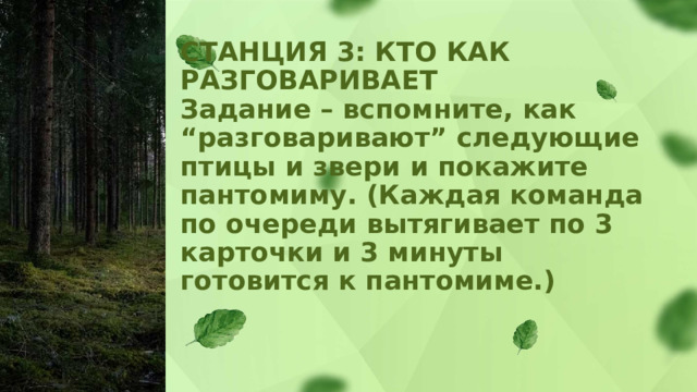 СТАНЦИЯ 3: КТО КАК РАЗГОВАРИВАЕТ  Задание – вспомните, как “разговаривают” следующие птицы и звери и покажите пантомиму. (Каждая команда по очереди вытягивает по 3 карточки и 3 минуты готовится к пантомиме.)   