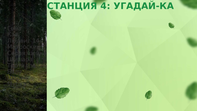 СТАНЦИЯ 4: УГАДАЙ-КА   Гена  Каа  Людвиг 14  Матроскин  Серая шейка  Шушара  Тортилла  Балу  Шарик  Мурка 