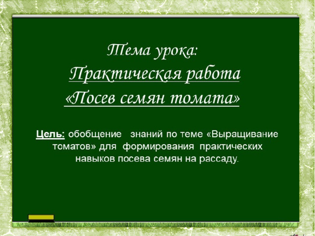 Посев семян томата 