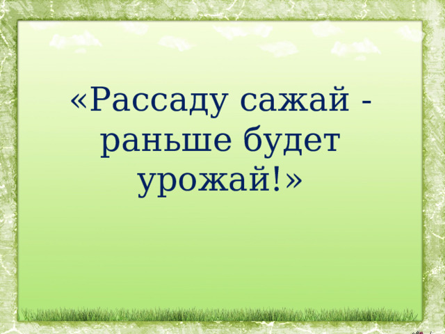 «Рассаду сажай - раньше будет урожай!» 