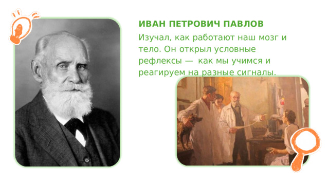 ИВАН  ПЕТРОВИЧ  ПАВЛОВ Изучал,  как  работают  наш  мозг  и  тело. Он  открыл  условные  рефлексы  —  как  мы учимся  и  реагируем  на  разные  сигналы. 