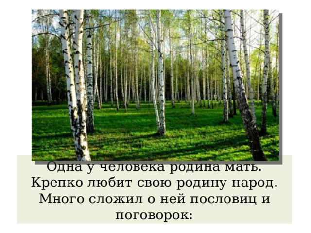 Одна у человека родина мать. Крепко любит свою родину народ. Много сложил о ней пословиц и поговорок: 