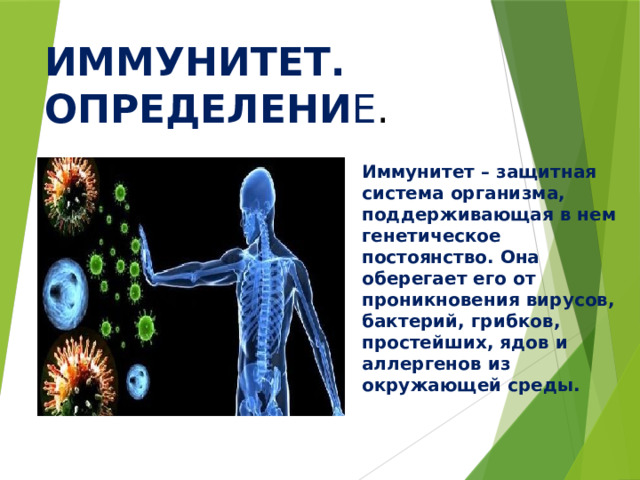 ИММУНИТЕТ. ОПРЕДЕЛЕНИ Е . Иммунитет – защитная система организма, поддерживающая в нем генетическое постоянство. Она оберегает его от проникновения вирусов, бактерий, грибков, простейших, ядов и аллергенов из окружающей среды. 