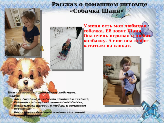 Рассказ о домашнем питомце «Собачка Шаня» У меня есть моя любимая собачка. Её зовут Шаня. Она очень игривая и любит колбаску. А еще она любит кататься на санках. Цель: знакомство с домашним любимцем. Задачи: Дать сведение о любимом домашнем питомце; Развивать коммуникативные способности; Воспитывать интерес и любовь к домашним питомцам; Воспитывать бережное отношение к живой природе в целом. 