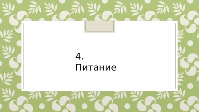 4. Питание 