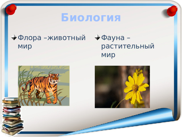 Биология Флора –животный мир Фауна – растительный мир 