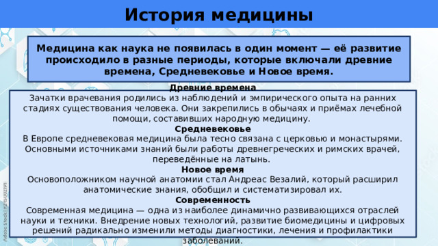 История медицины Медицина как наука не появилась в один момент — её развитие происходило в разные периоды, которые включали древние времена, Средневековье и Новое время. Древние времена Зачатки врачевания родились из наблюдений и эмпирического опыта на ранних стадиях существования человека. Они закрепились в обычаях и приёмах лечебной помощи, составивших народную медицину. Средневековье В Европе средневековая медицина была тесно связана с церковью и монастырями. Основными источниками знаний были работы древнегреческих и римских врачей, переведённые на латынь. Новое время Основоположником научной анатомии стал Андреас Везалий, который расширил анатомические знания, обобщил и систематизировал их. Современность Современная медицина — одна из наиболее динамично развивающихся отраслей науки и техники. Внедрение новых технологий, развитие биомедицины и цифровых решений радикально изменили методы диагностики, лечения и профилактики заболеваний. 