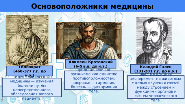 Основоположники медицины Алкмеон Кротонский (6-5 в.в. до н.э.) Клавдий Гален (131-201 г.г. до н.э.) Гиппократ (460-377 г.г. до н.э.) представления об организме как единстве противоположностей: здоровье — гармония, болезнь — дисгармония тела. Ввёл в медицину эксперимент на животных с целью изучения связей между строением и функциями органов и систем человеческого тела.  идея клинической медицины — изучения болезни путём непосредственного обследования живого пациента. 