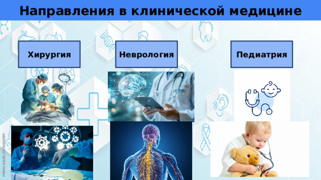 Направления в клинической медицине Хирургия Неврология Педиатрия 