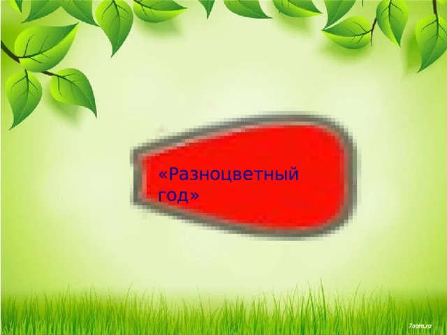 «Разноцветный год» 