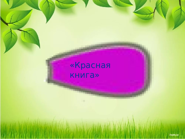 «Красная книга» 