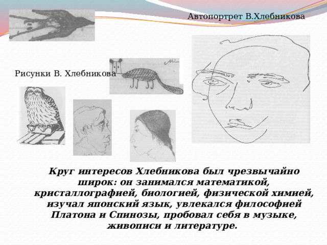 Автопортрет  В.Хлебникова Рисунки В. Хлебникова Круг интересов Хлебникова был чрезвычайно широк: он занимался математикой, кристаллографией, биологией, физической химией, изучал японский язык, увлекался философией Платона и Спинозы, пробовал себя в музыке, живописи и литературе.   