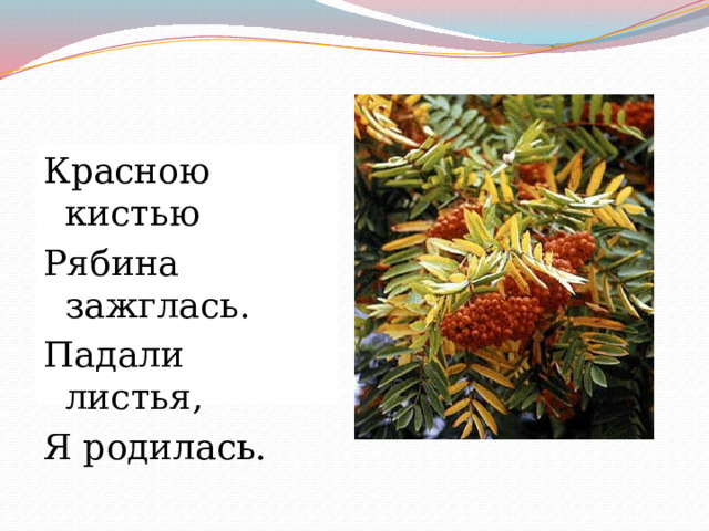 Красною кистью Рябина зажглась. Падали листья, Я родилась. 